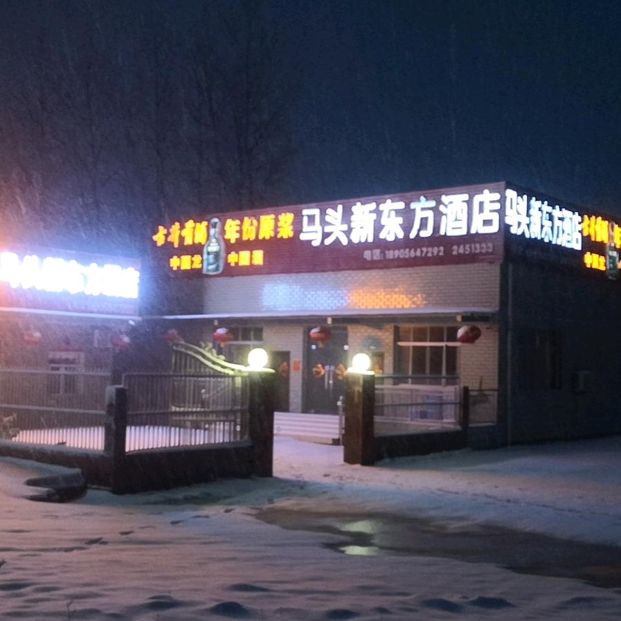 马头新东方酒店（金家新）