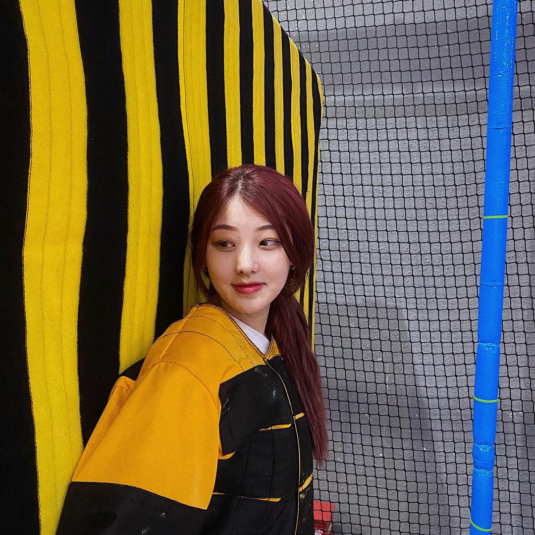WQ✨
