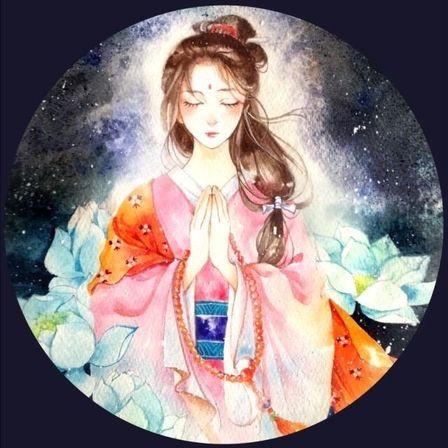 养猫画画的随随
