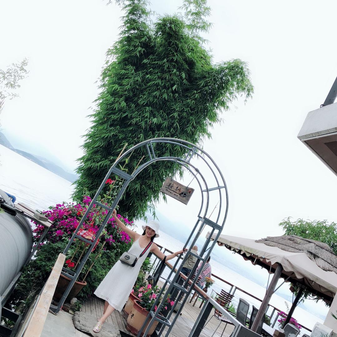 菲爷