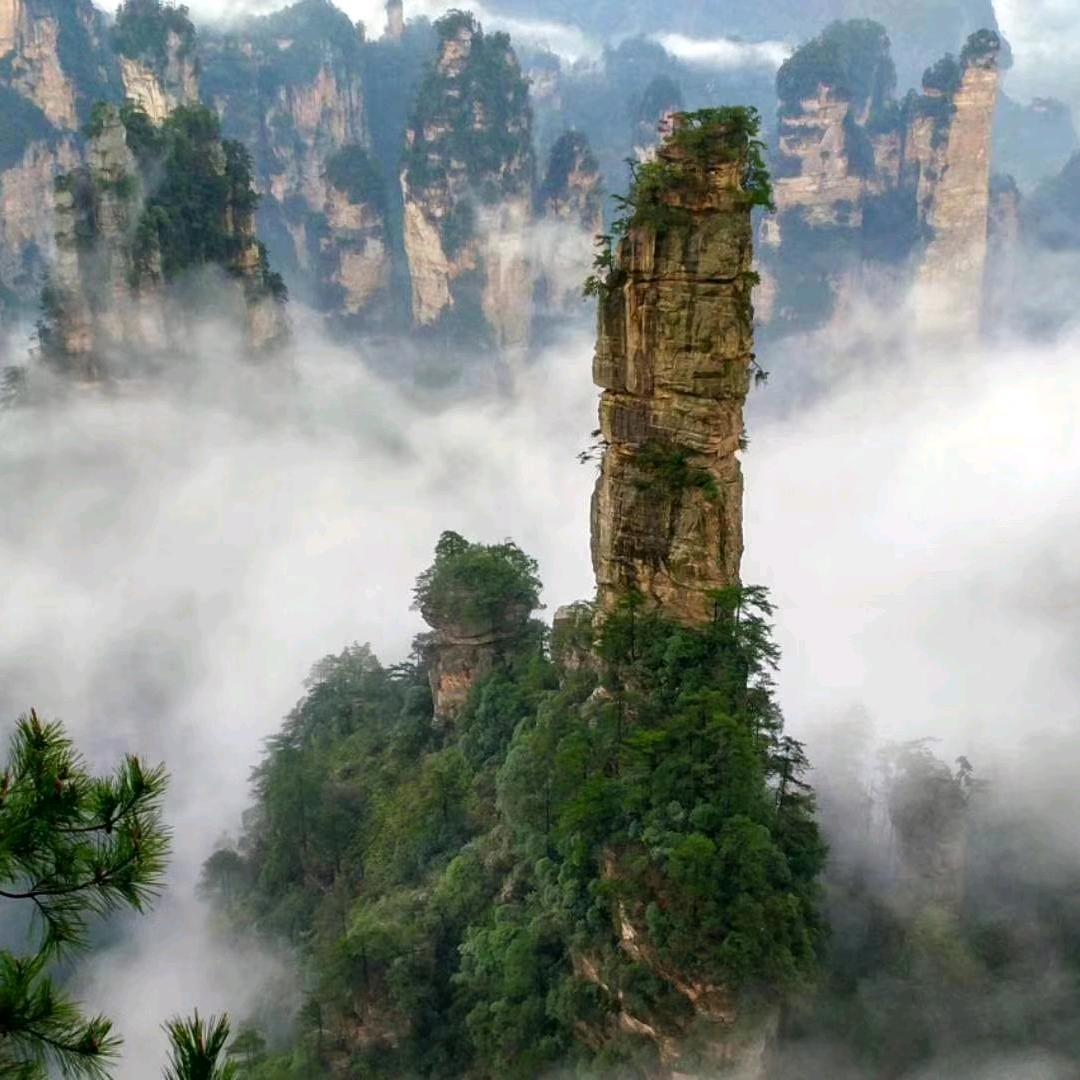 张家界老导游周叔