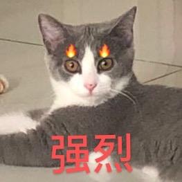 董思怡__