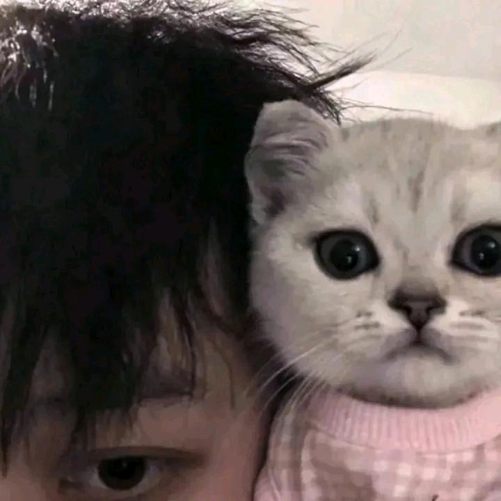 你怎么不笑了。