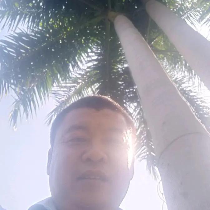 七巷