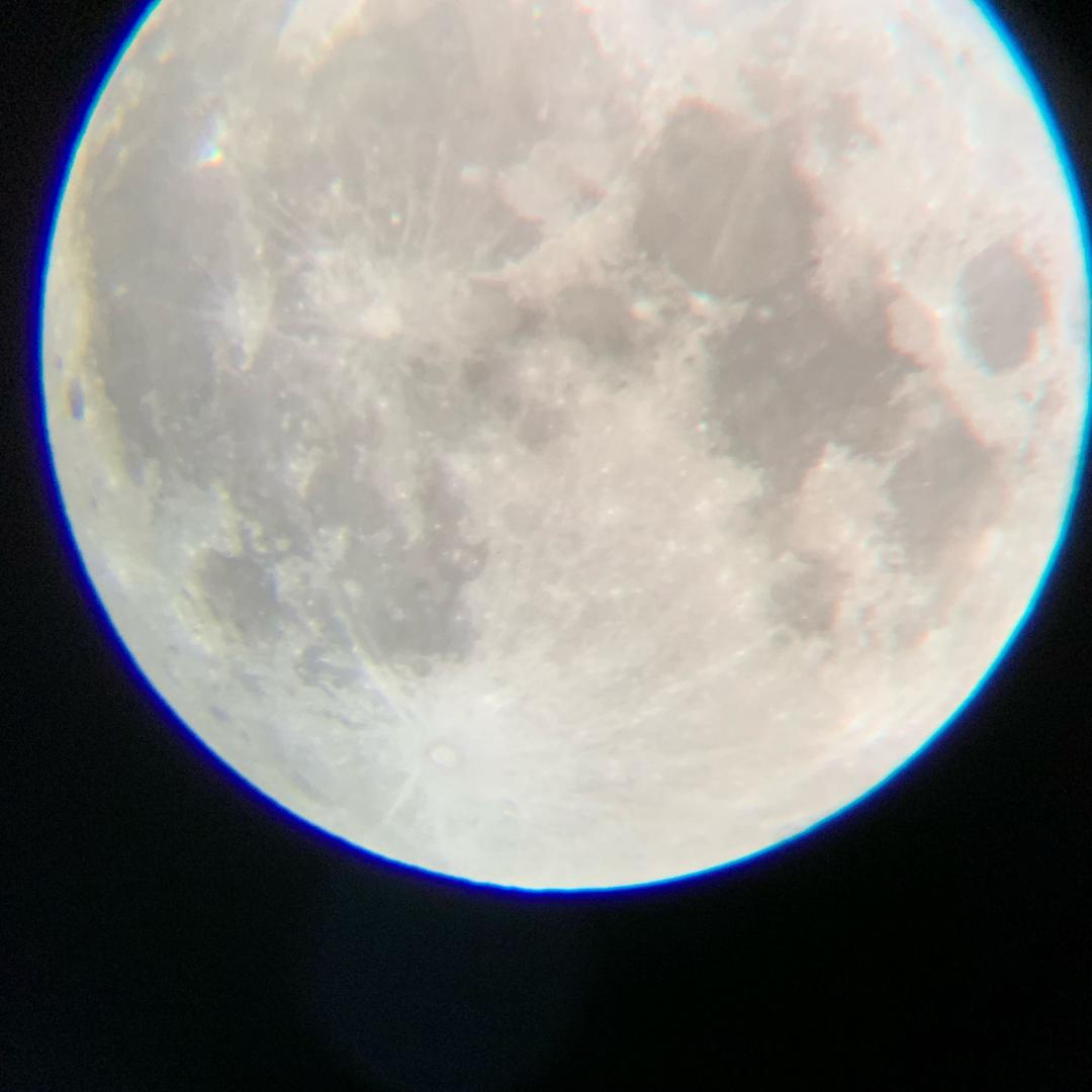我是摩羯座