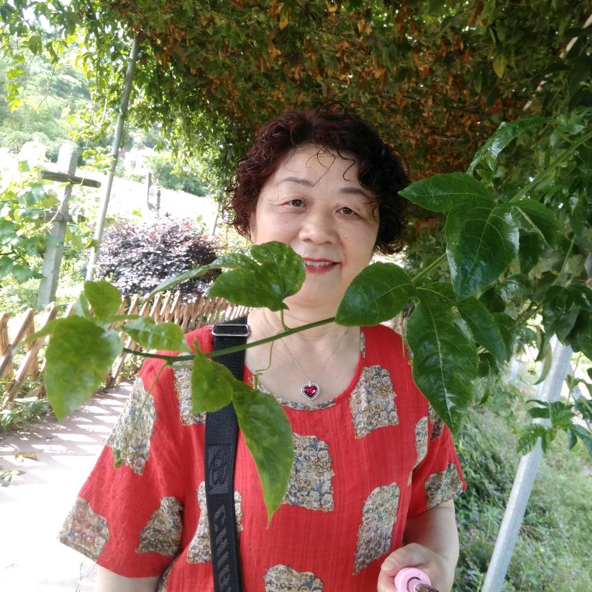 顺顺