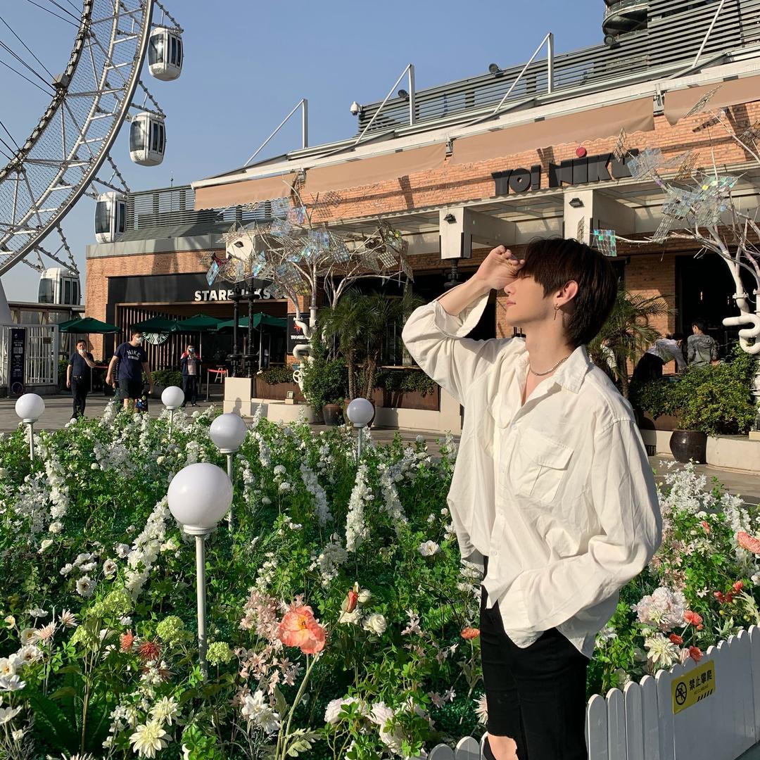 忘忧草🍀