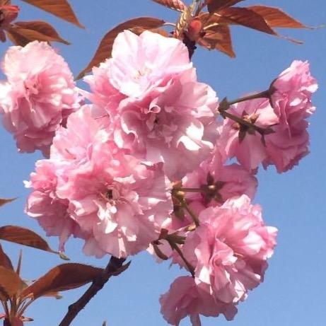 宁静五0后🐷（拒私聊)