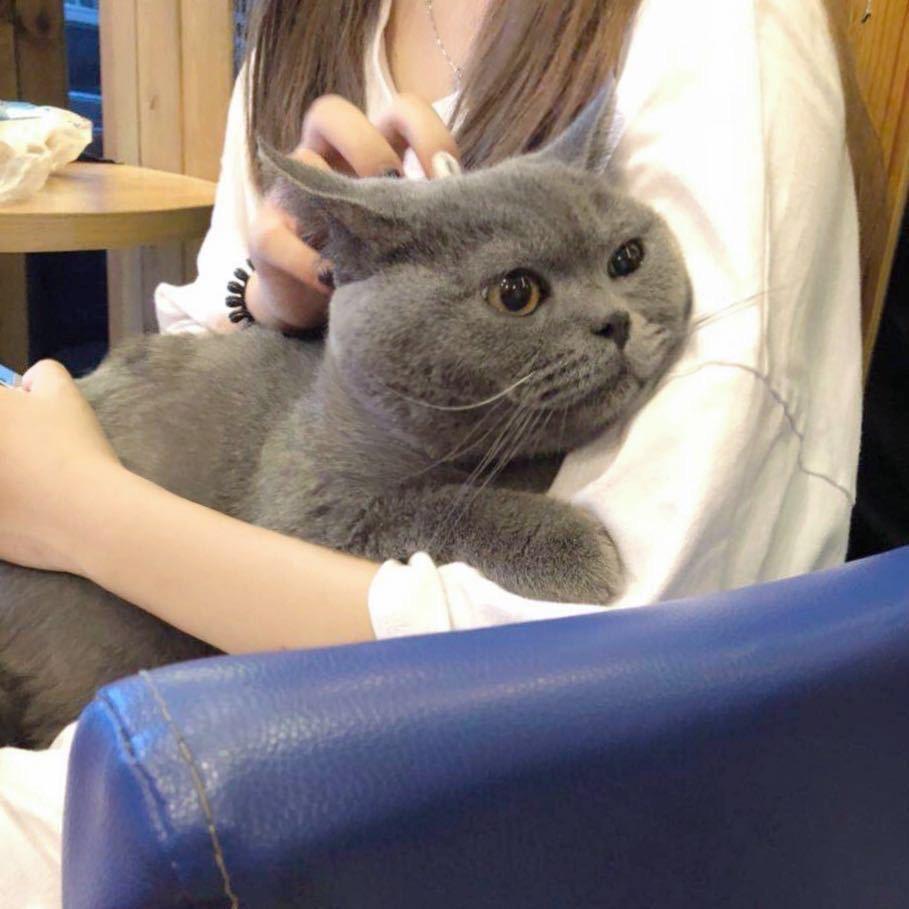 小弱要努力变强