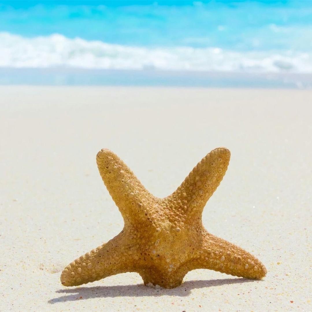 春暖花开晴空万里