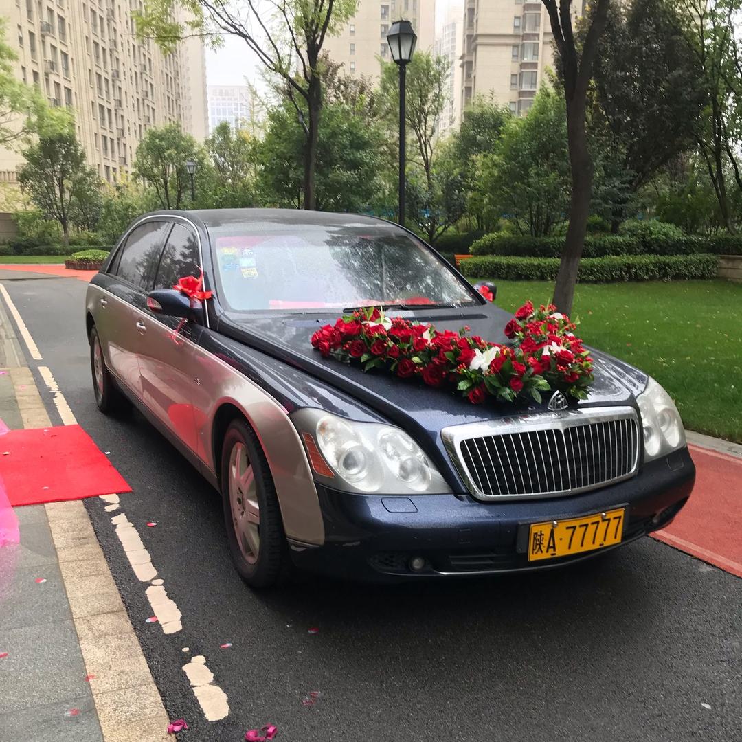 猕猴桃(全国招代理)