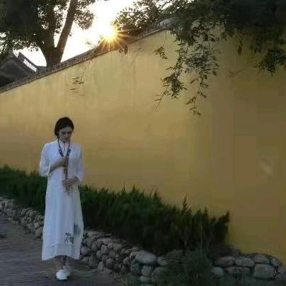博芝