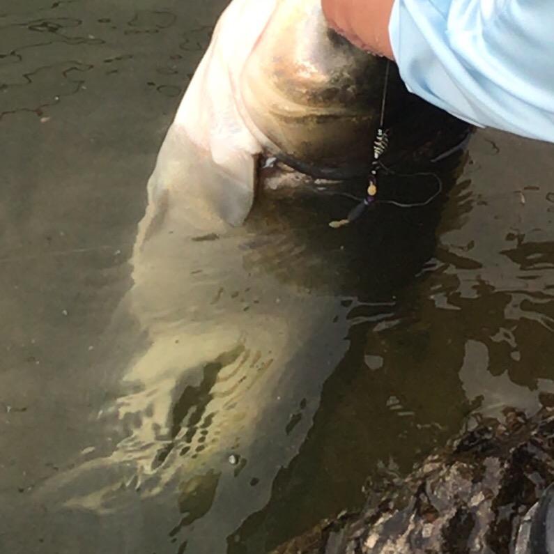 桐岭仙境姚林水库