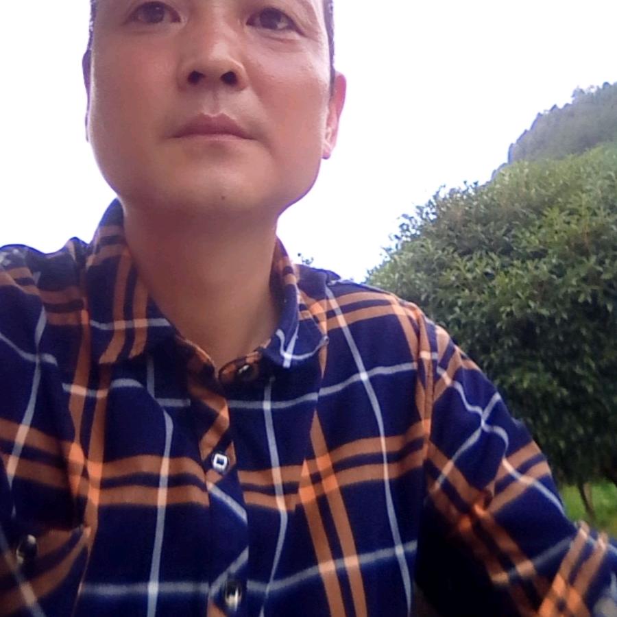 杨文林