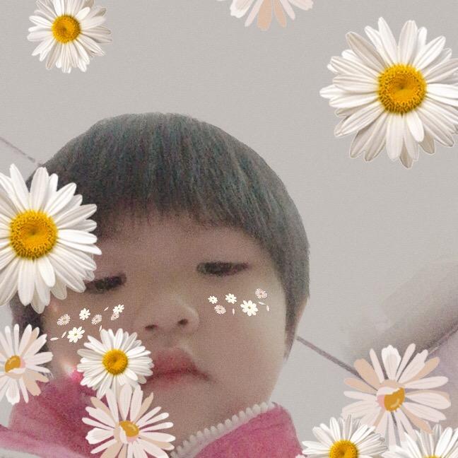 幸福玻璃鞋