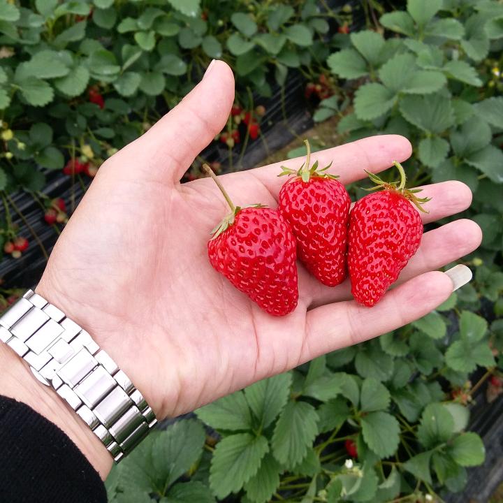 中交路桥建设工程