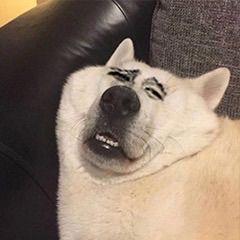 许酒不见