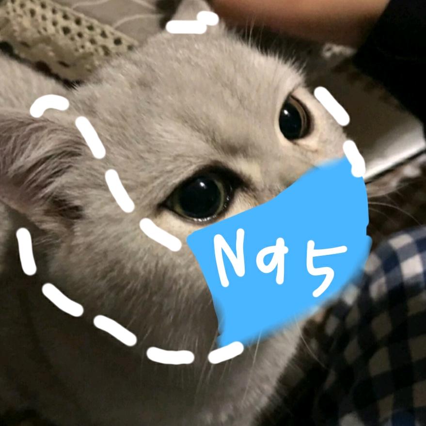 哇塞6