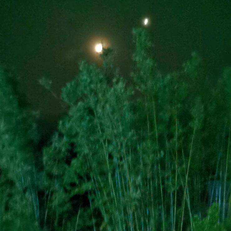 坚持不懈
