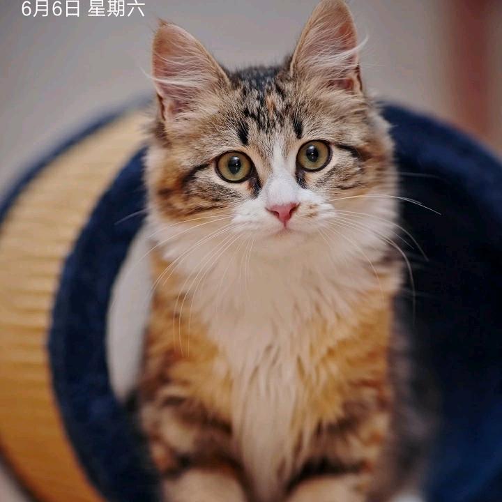 杨志祥