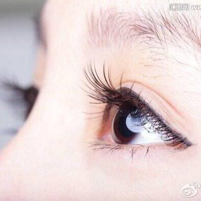 龙树提婆