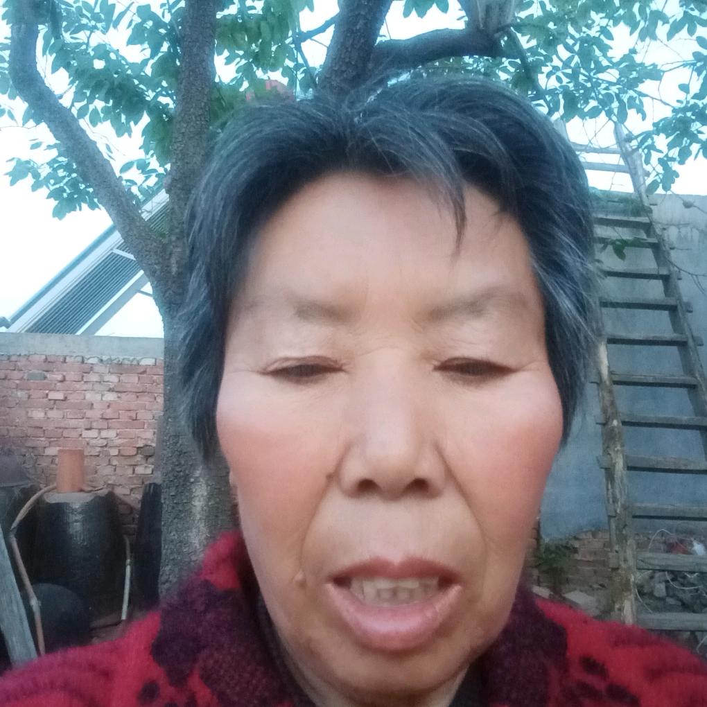 魏妈