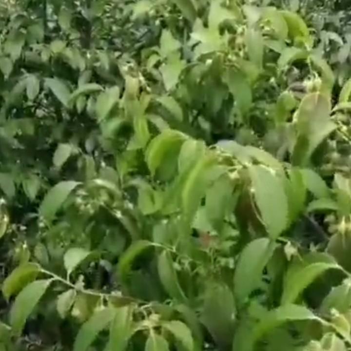 用户3754214328631