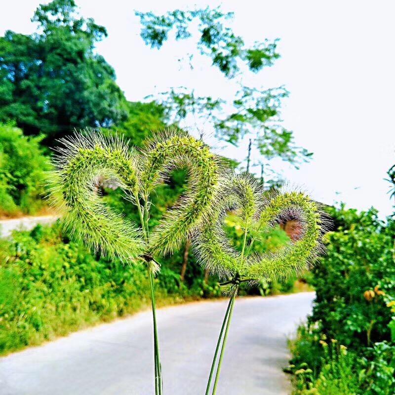 幻影