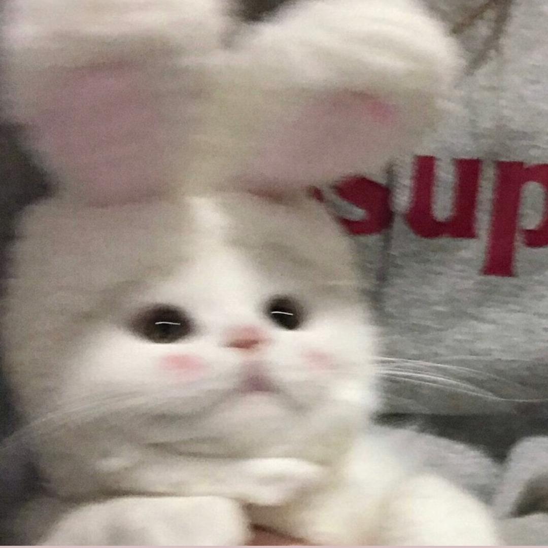 小怡怡怡🐼