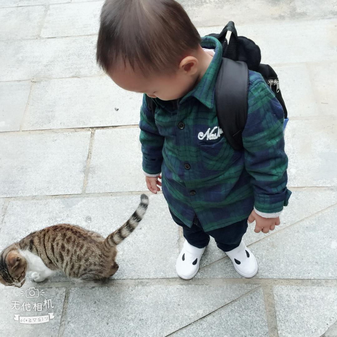 🚛小 肥 楊🚛