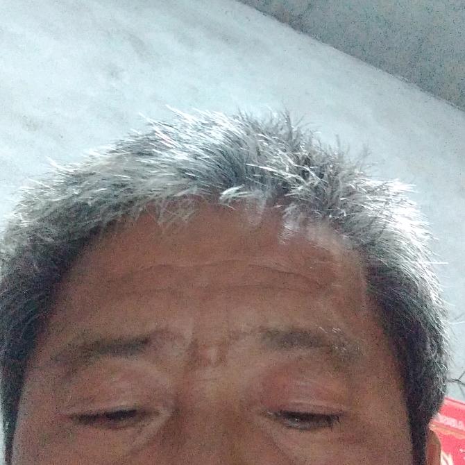 498太从