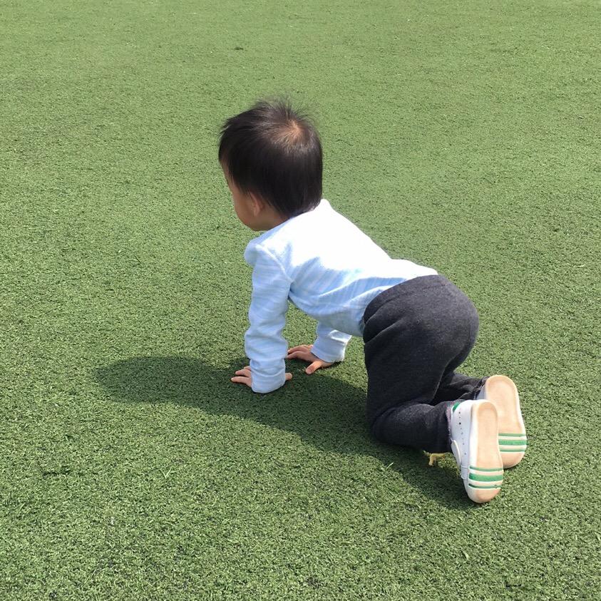 -小韦-