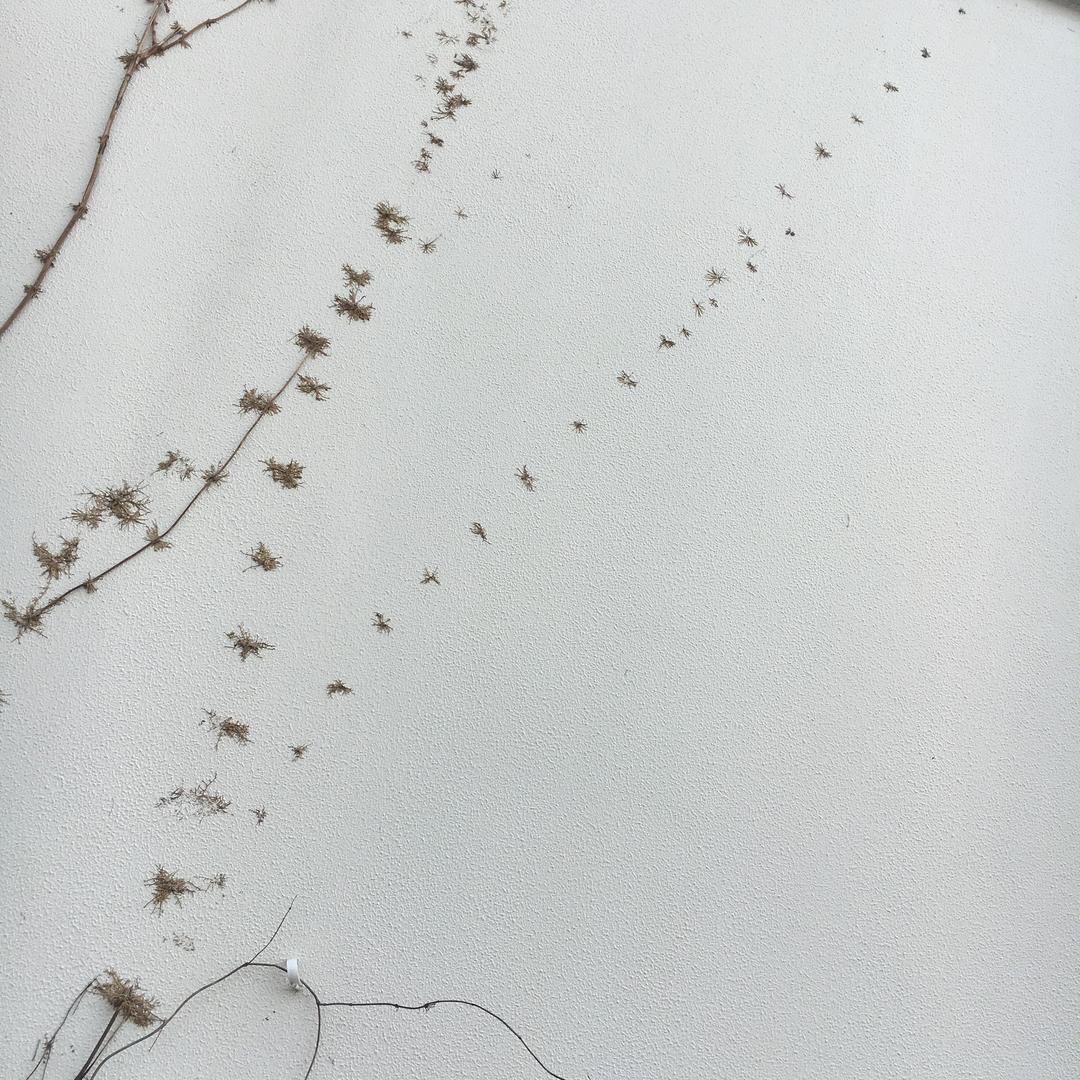 余耀