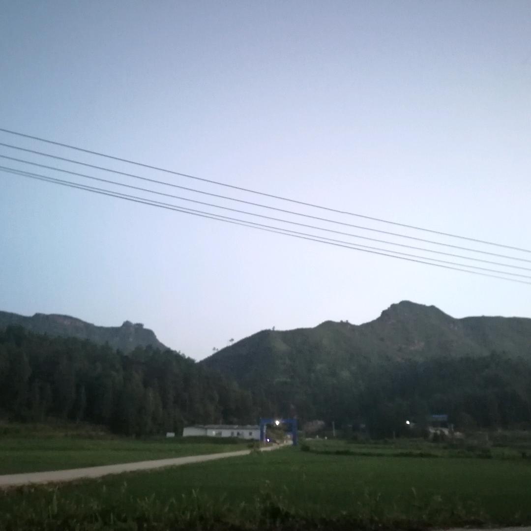 群