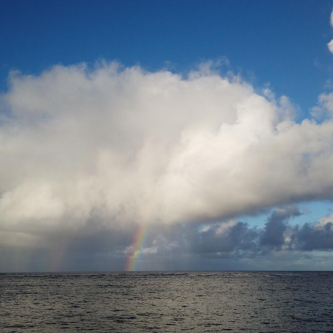 谢谢云淡风清666