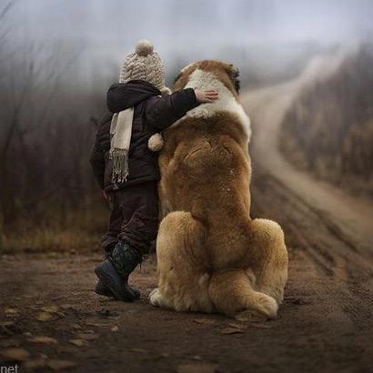 祡門孤犭