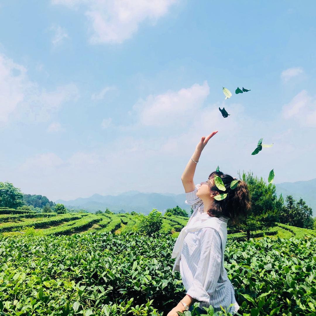 晨曦学堂
