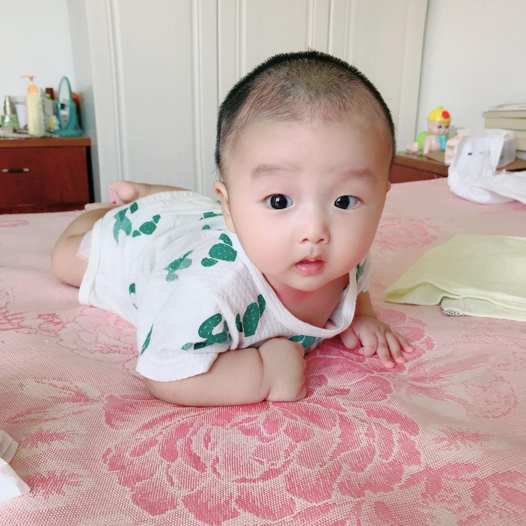 宝果儿
