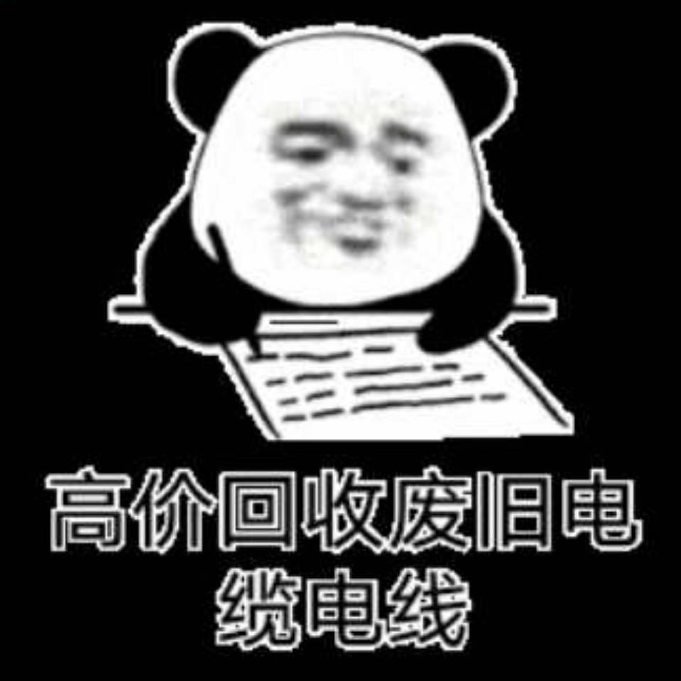 臧磊（有色金属回收）