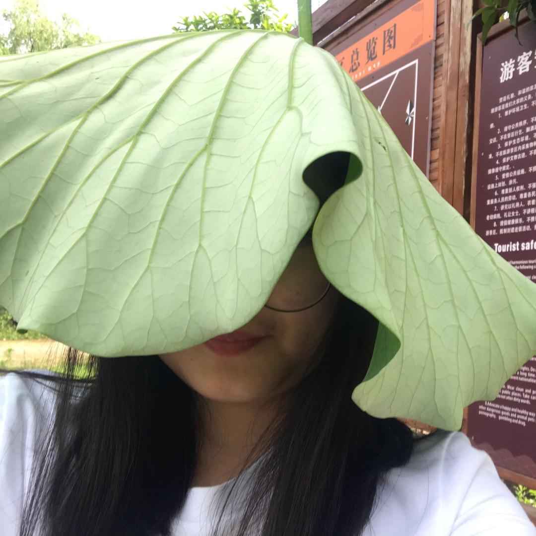乐Cloe