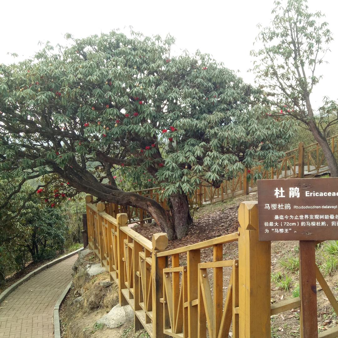 专业订制室内衣柜、厨柜