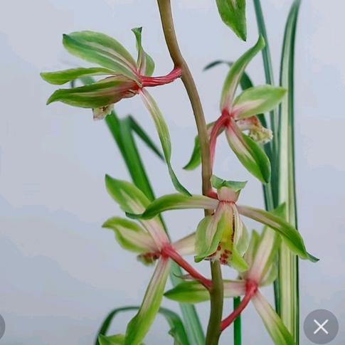 小东\_