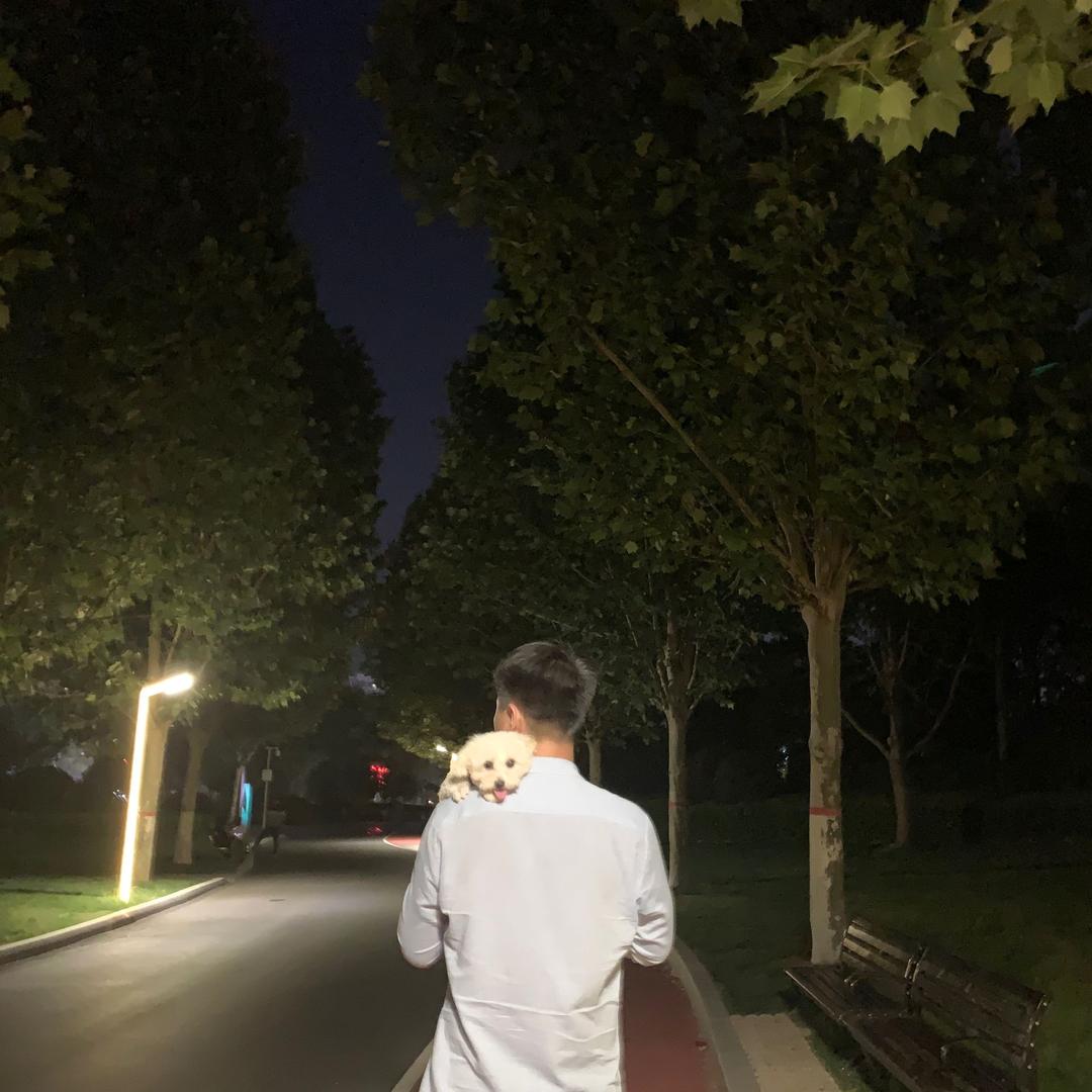 无与伦比