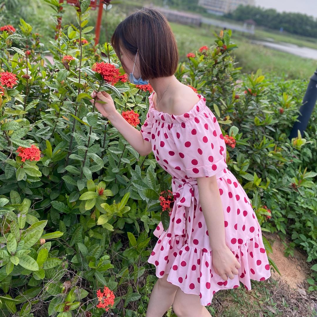 是小刘刘吖🤗