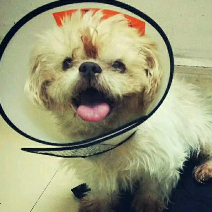 小三