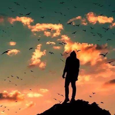 一世✨治愈馆