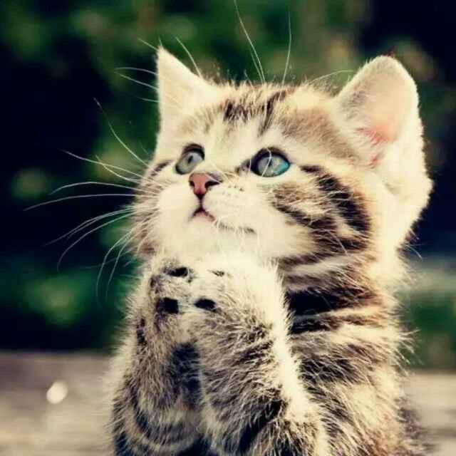 @我是🌻宜政村“两委”办主任呀🙊#