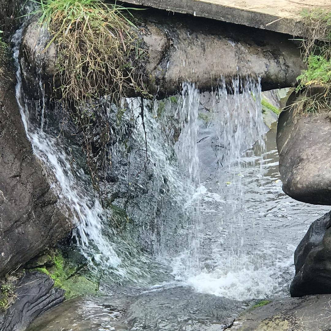 菜瓜不是瓜