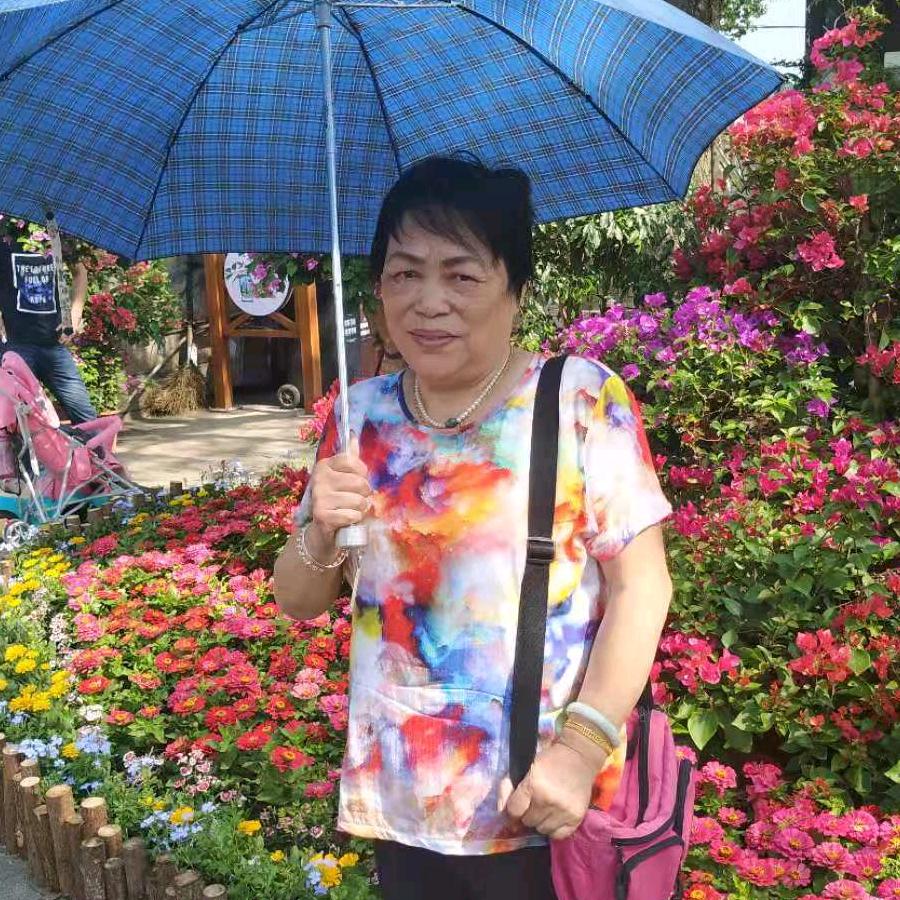 y菊华