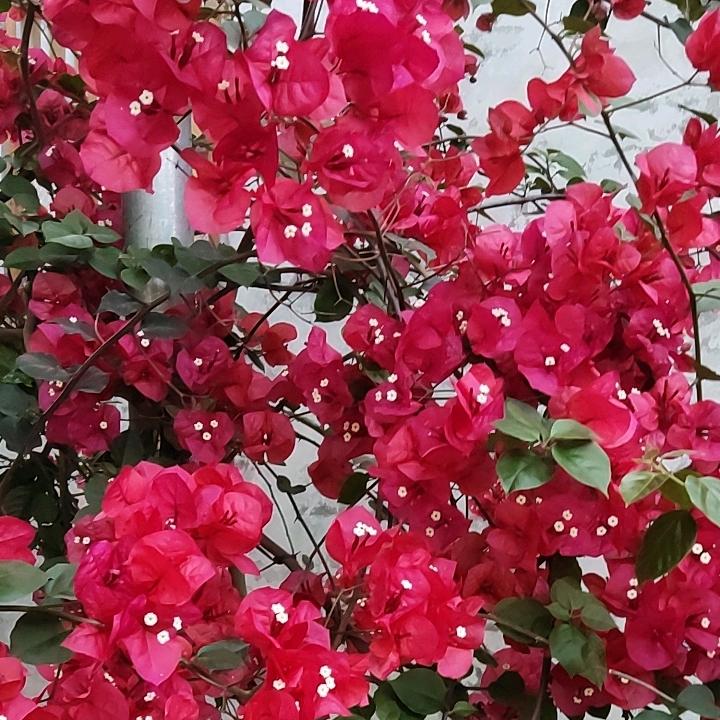 一厘米天堂